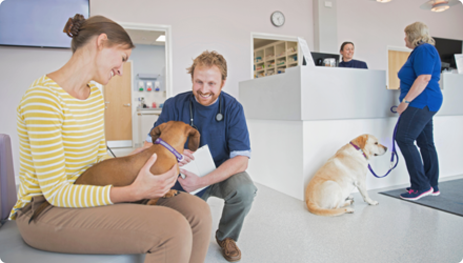 Home Page Vibragenix