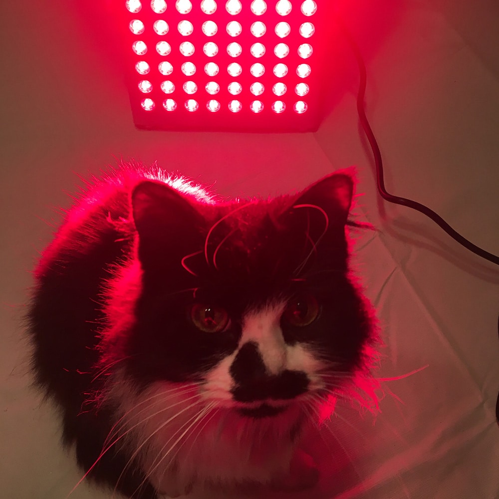 VibraGenix Red Light Therapy Panel - Image 5