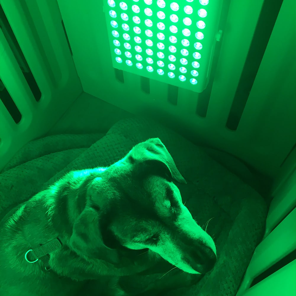 VibraGenix Green Light Therapy Panel - Image 7