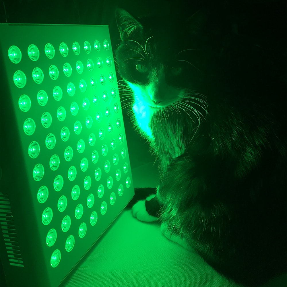 VibraGenix Green Light Therapy Panel - Image 6